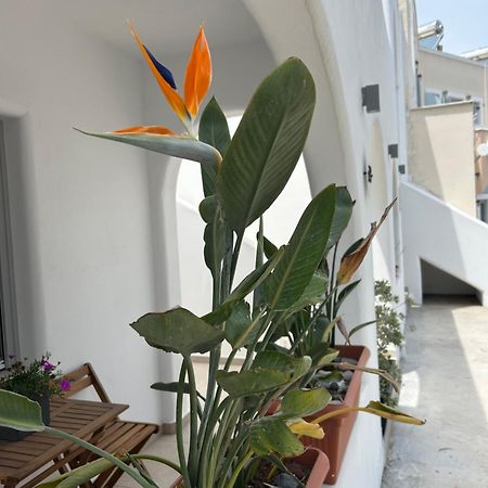 To Spitaki Sas, In Santorini! Διαμέρισμα Μεσαριά Εξωτερικό φωτογραφία